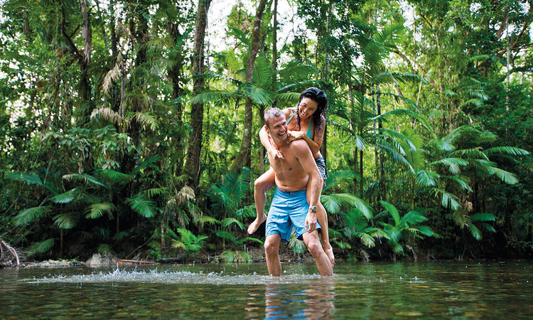Daintree Rainforest piggyback