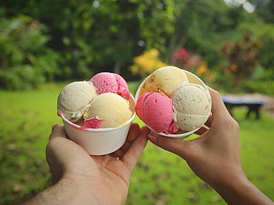 The Original Daintree Ice Cream Company