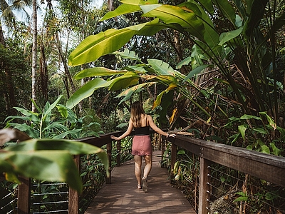 Daintree Eco Lodge & Spa