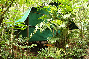 Wooden and canvas build safari tent - Crocodylus - Cow Bay