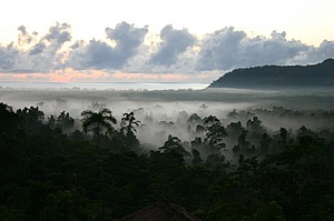 Views to Alexandra Bay from Cockatoo Hill Retreat