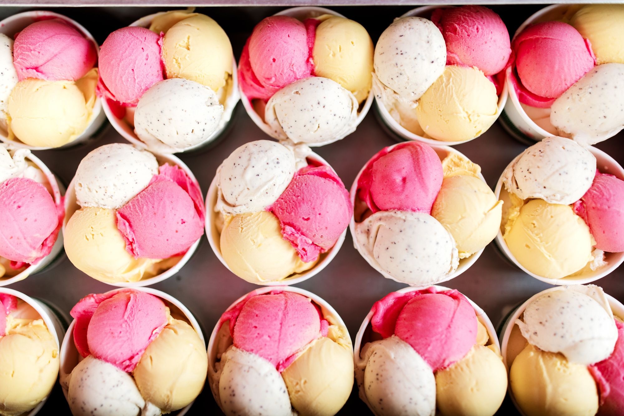 Daintree Ice Cream Company