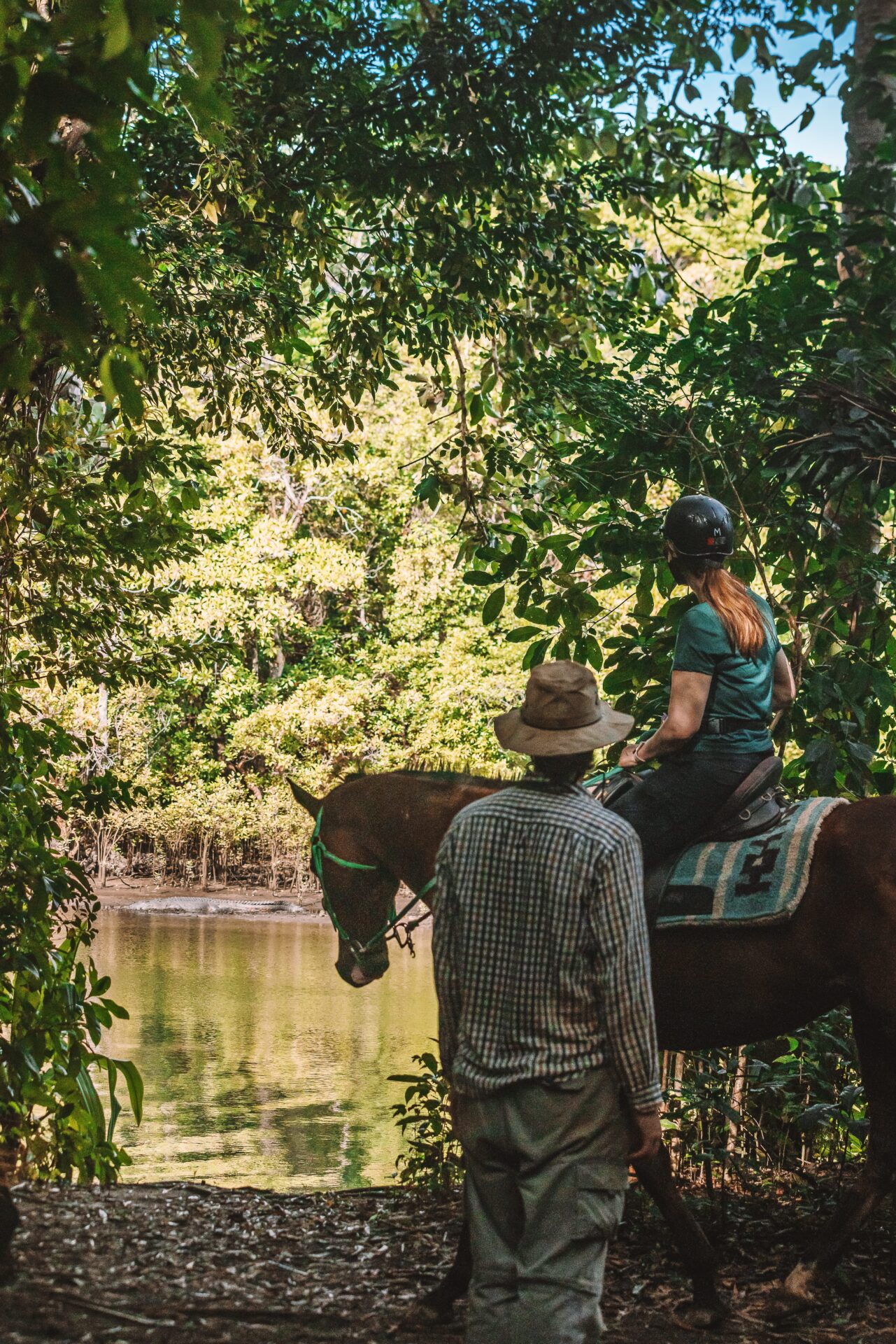 Cape Trib Horse Rides