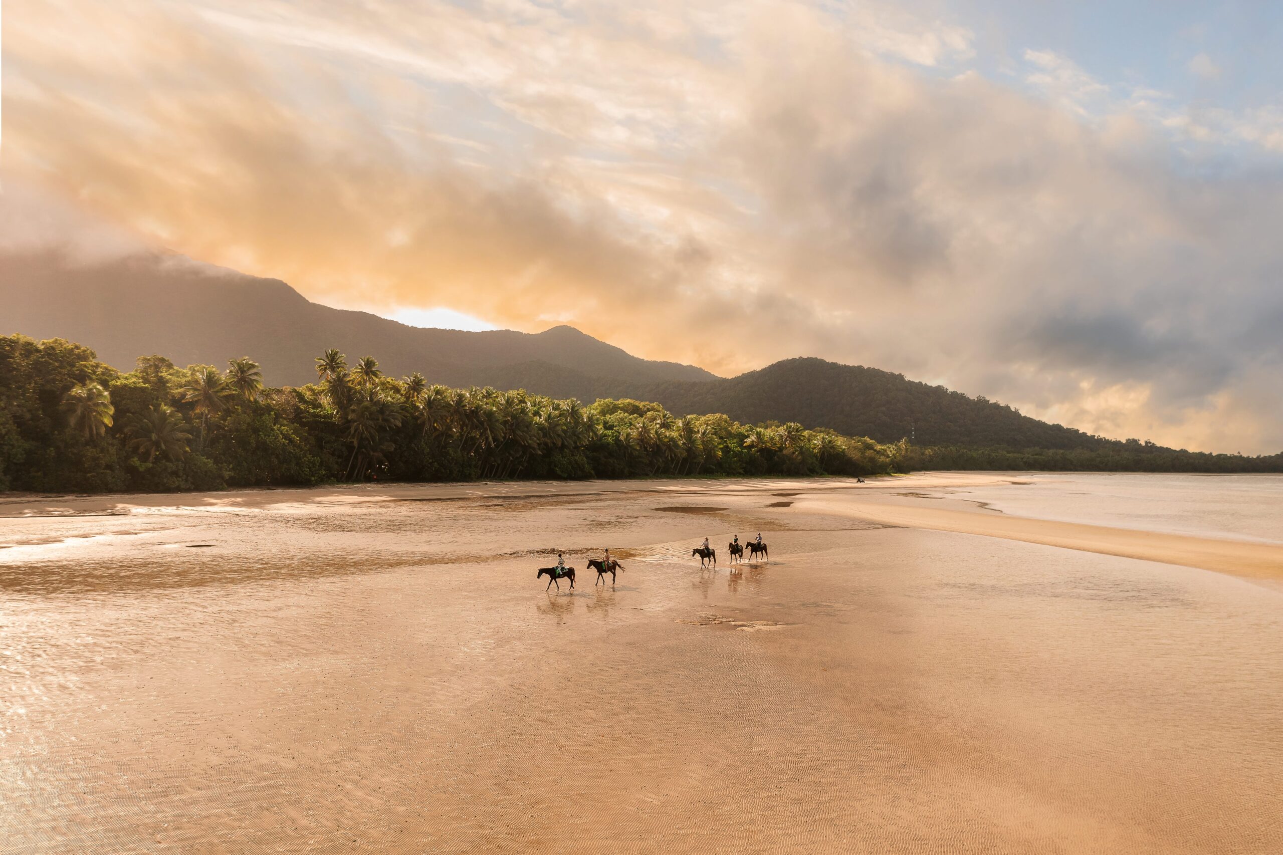 Cape Trib Horse Rides