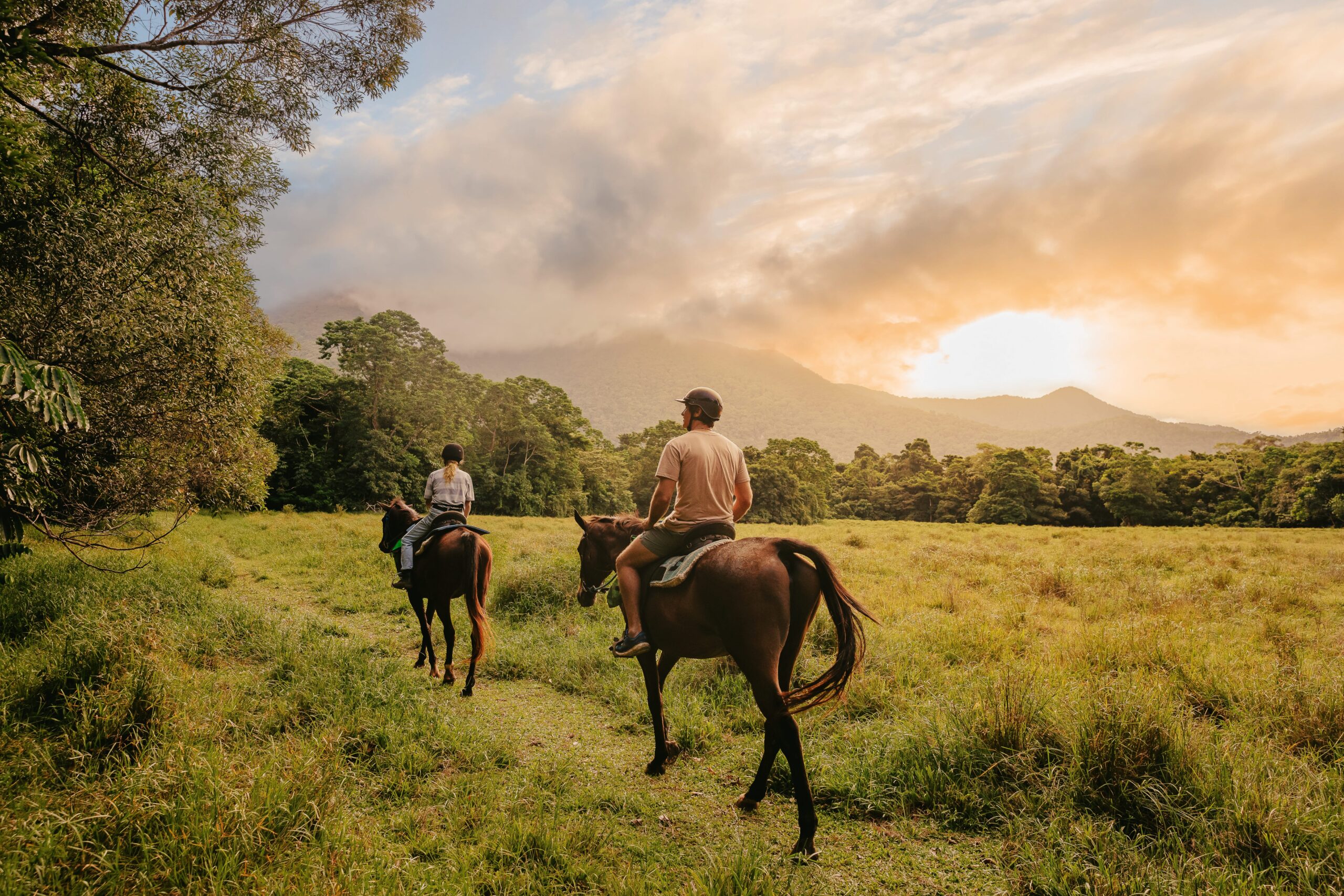 Cape Trib Horse Rides