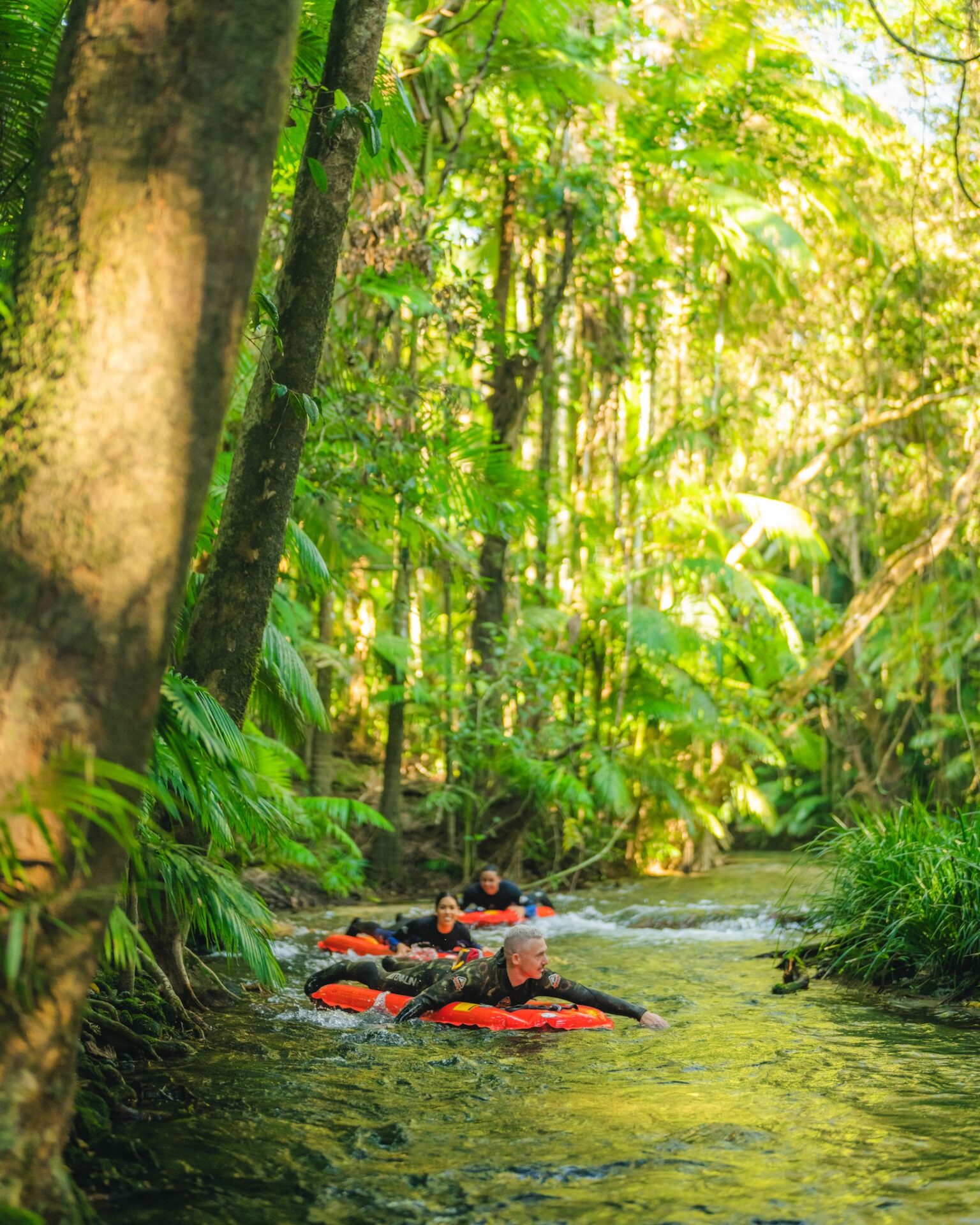 River Drift Snorkelling tour floating through the rainforest near Mossman – Back Country Bliss
