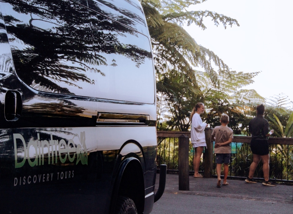 Destination Daintree Daintree Discovery Tours