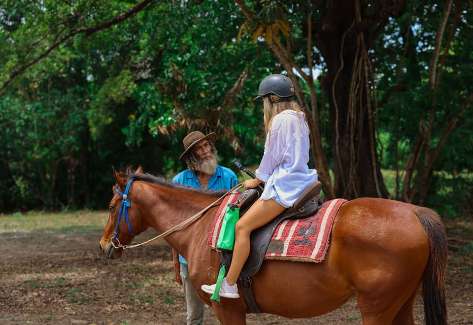 Scroller1 – Cape Tribulation Horse Rides
