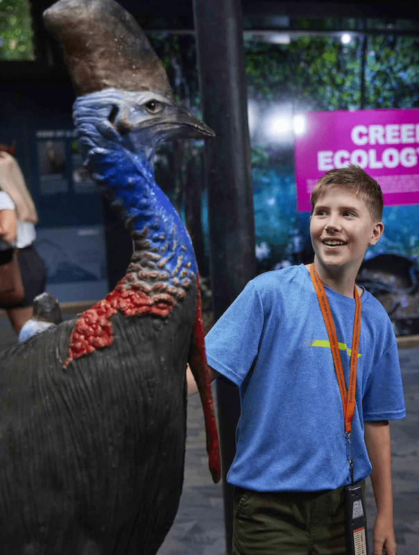 Boy & Cassowary – Daintree Discovery Centre
