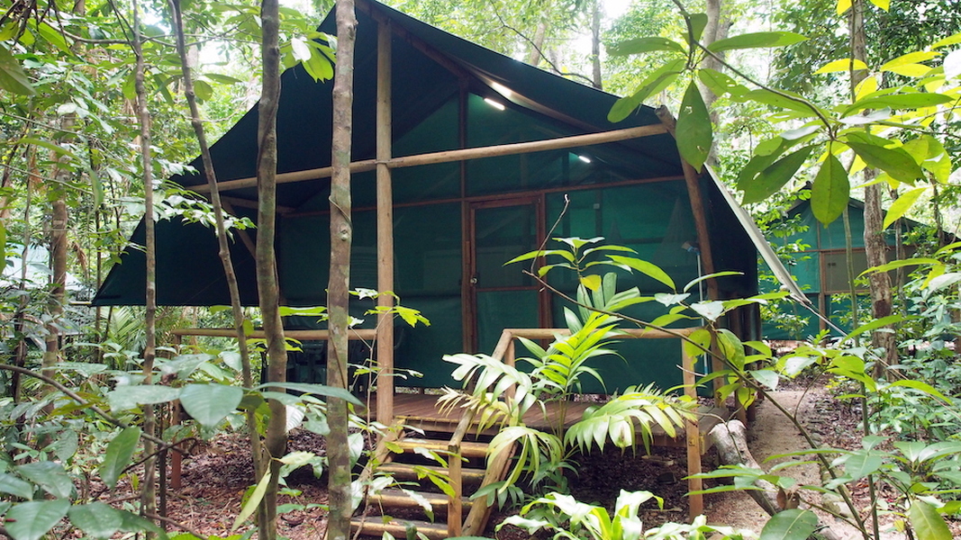 Crocodylus Cabin