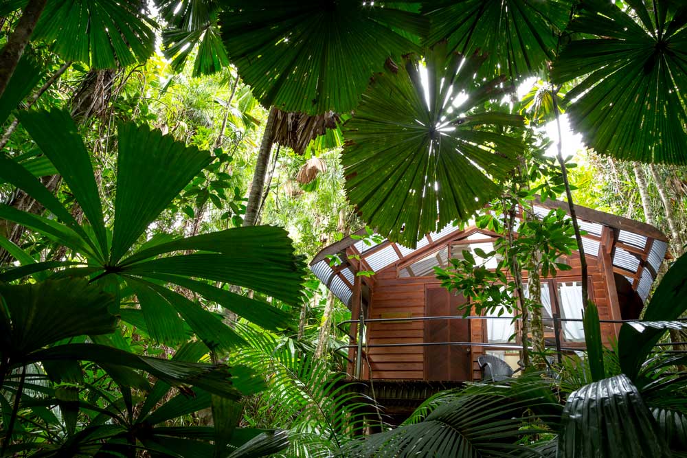Daintree Wilderness Lodge Cabin Exterior