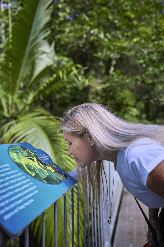 Girl Smelling – Daintree Discovery Centre