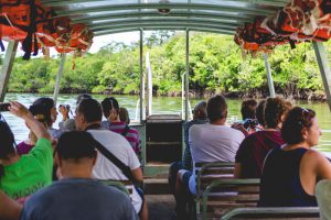 Guests on the Boat – Cape Tribulation Wilderness Cruises