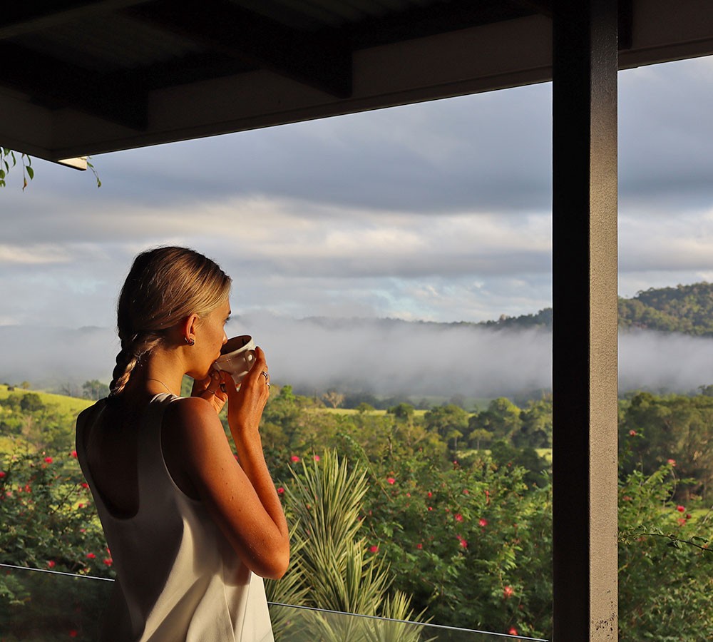 View – Gateway Cassowary Falls Daintree