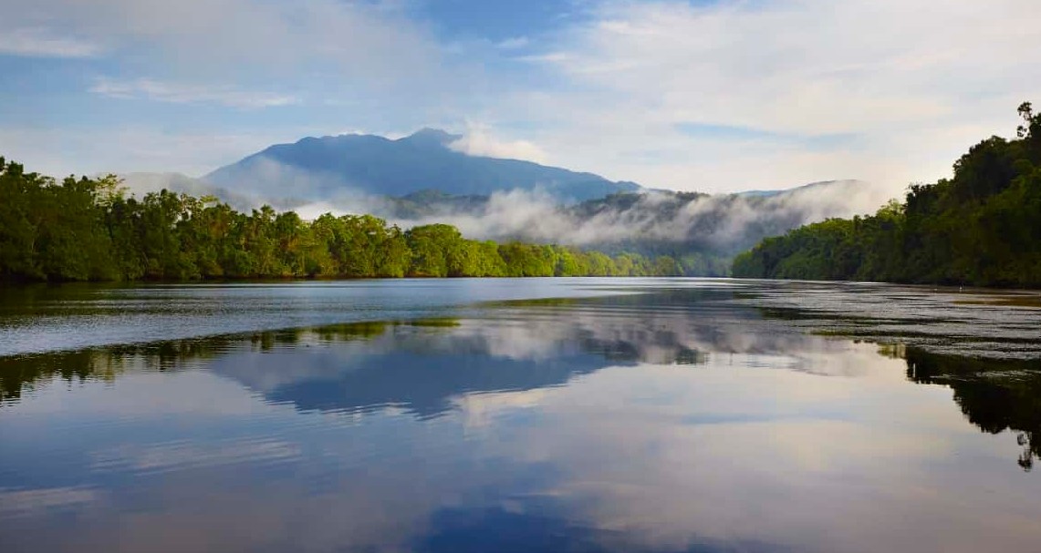 Daintree Boatman Wildlife Cruises