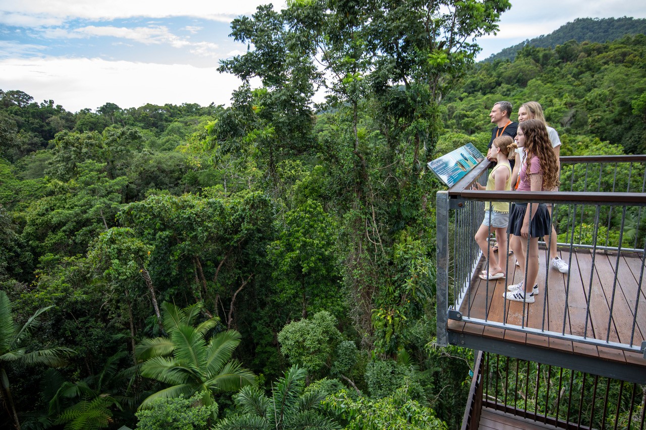 Daintree Discovery Centre Looking from tower