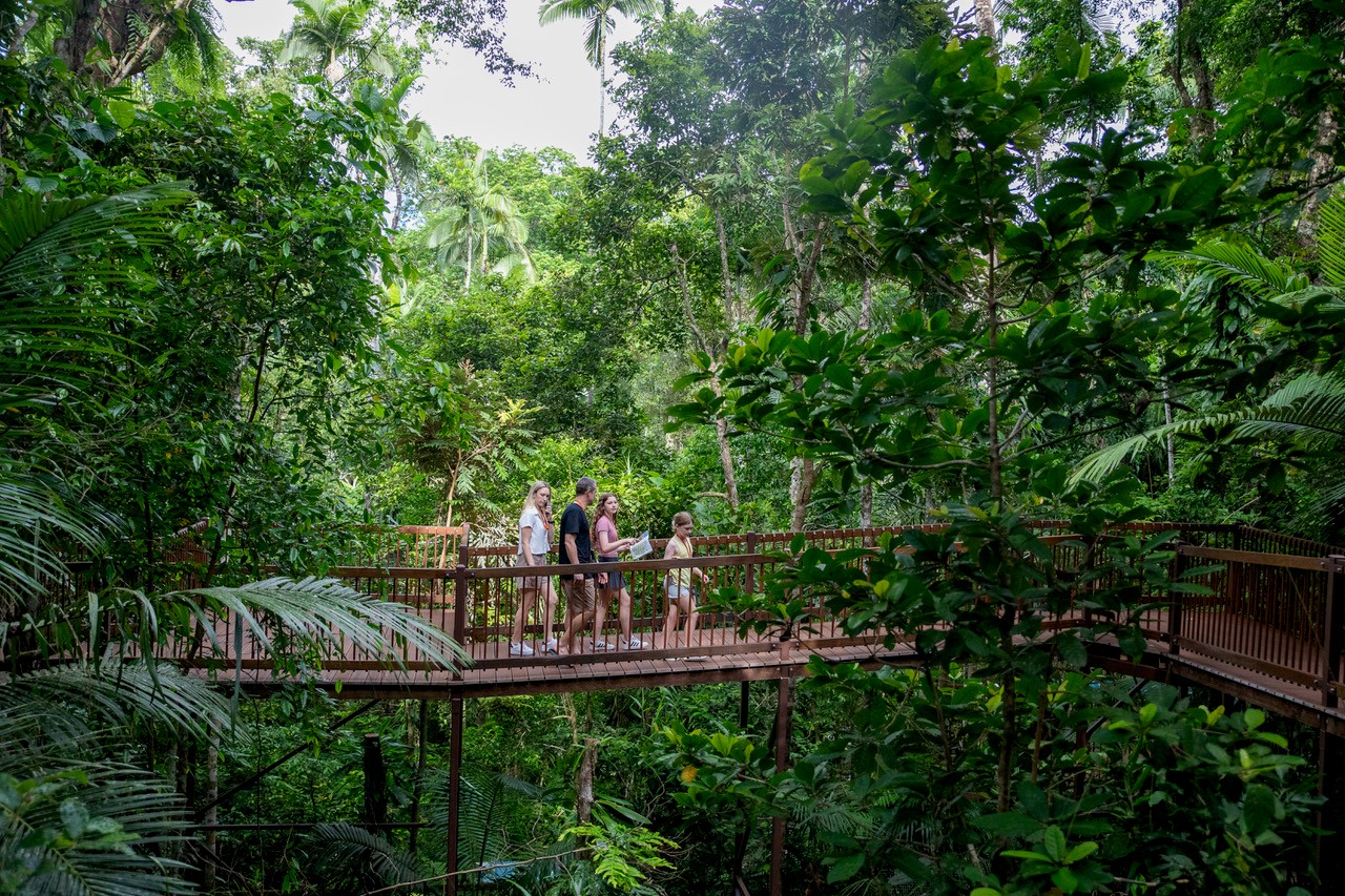 Daintree Discovery Centre Walkway