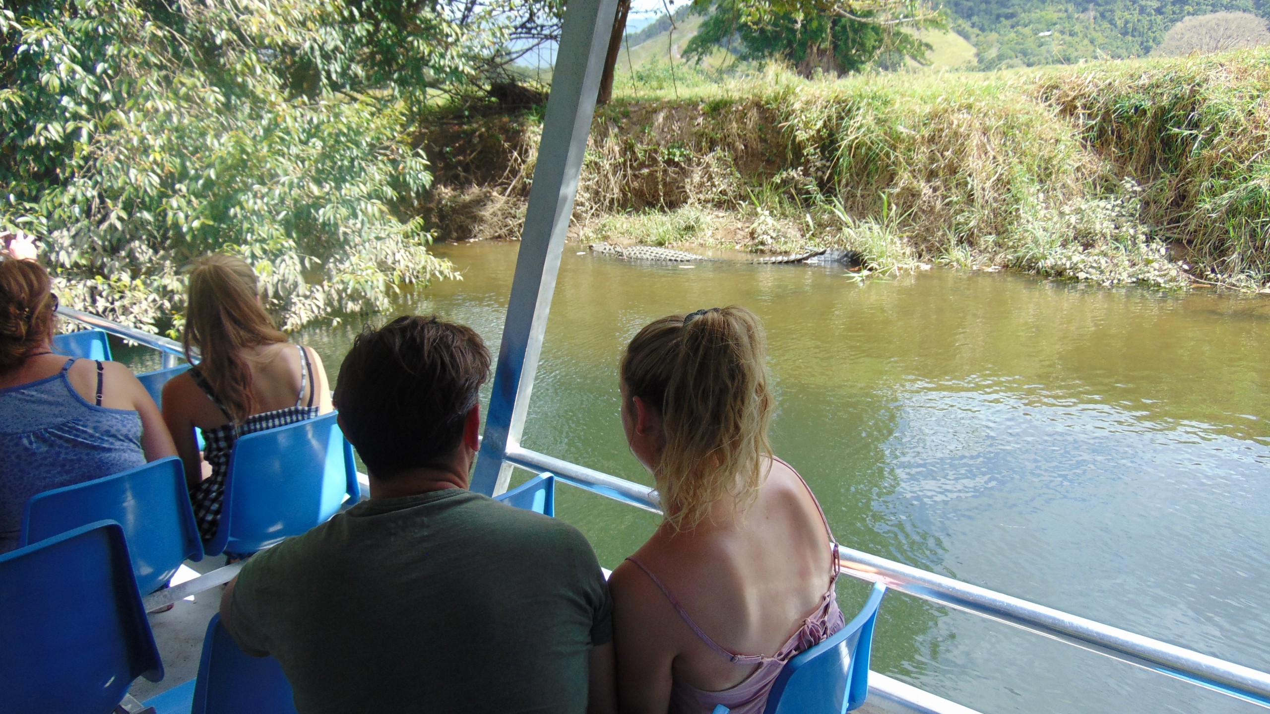Crocodile Express Greater Daintree Wildlife Cruises