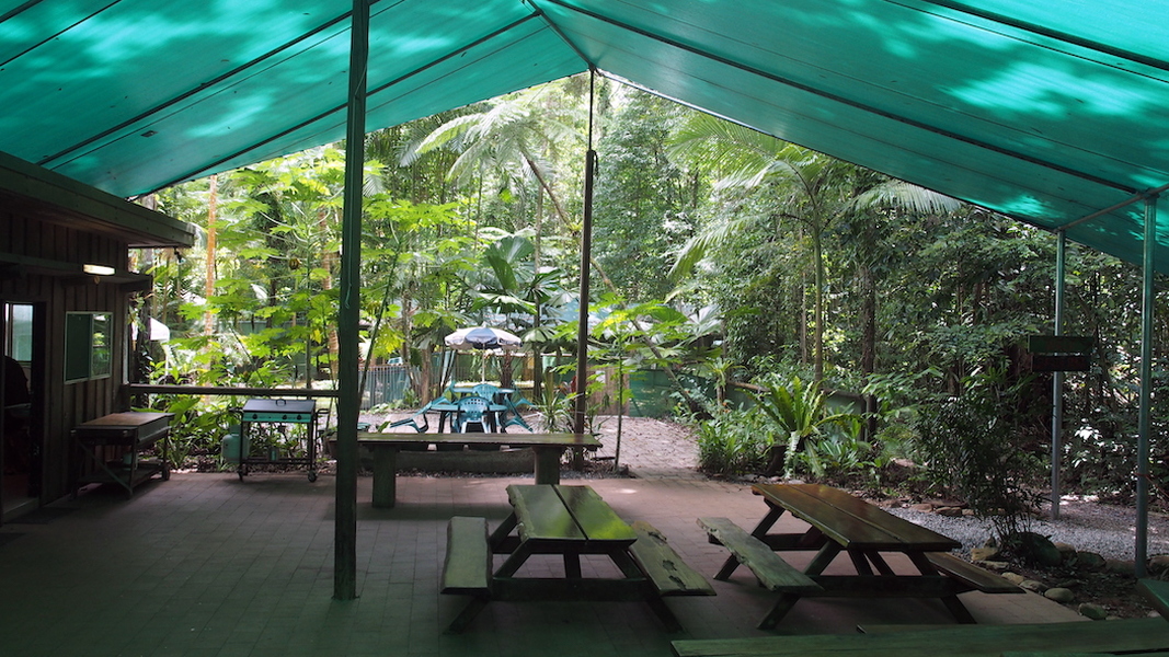 Daintree Crocodylus Crocs Cafe