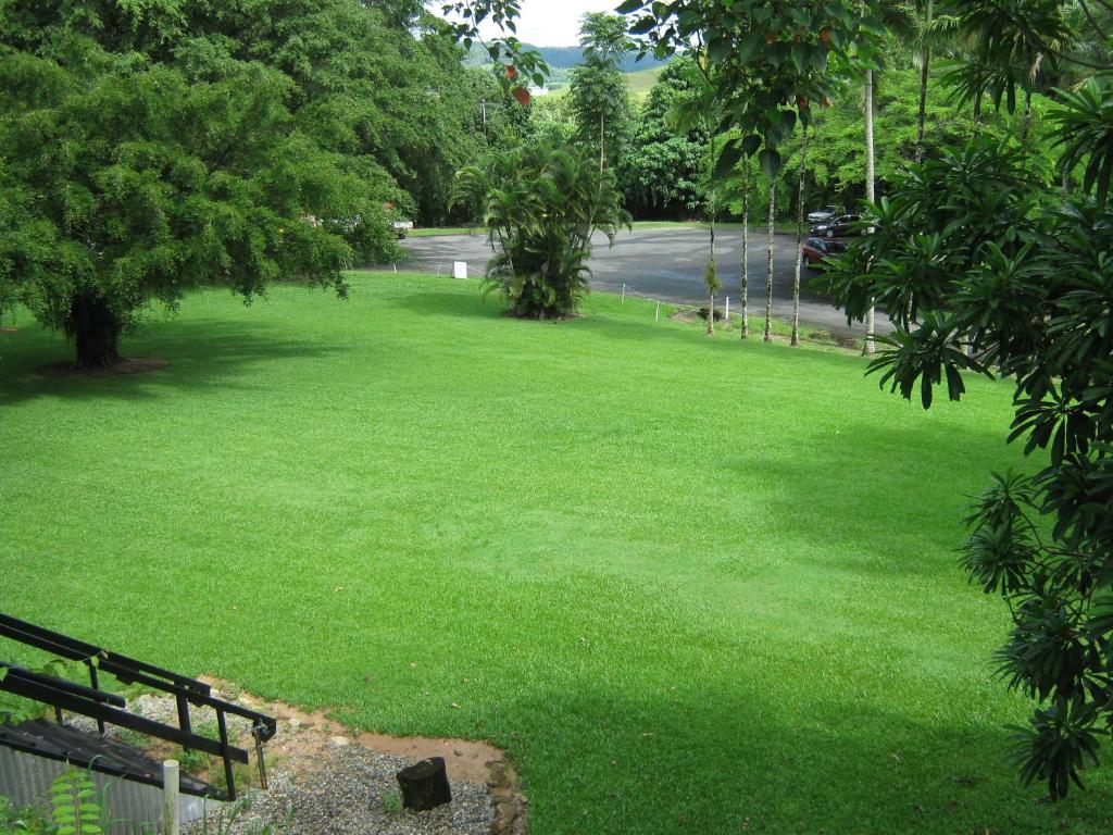 DRLVP Camping Area – Daintree Riverview Lodge and Van Park