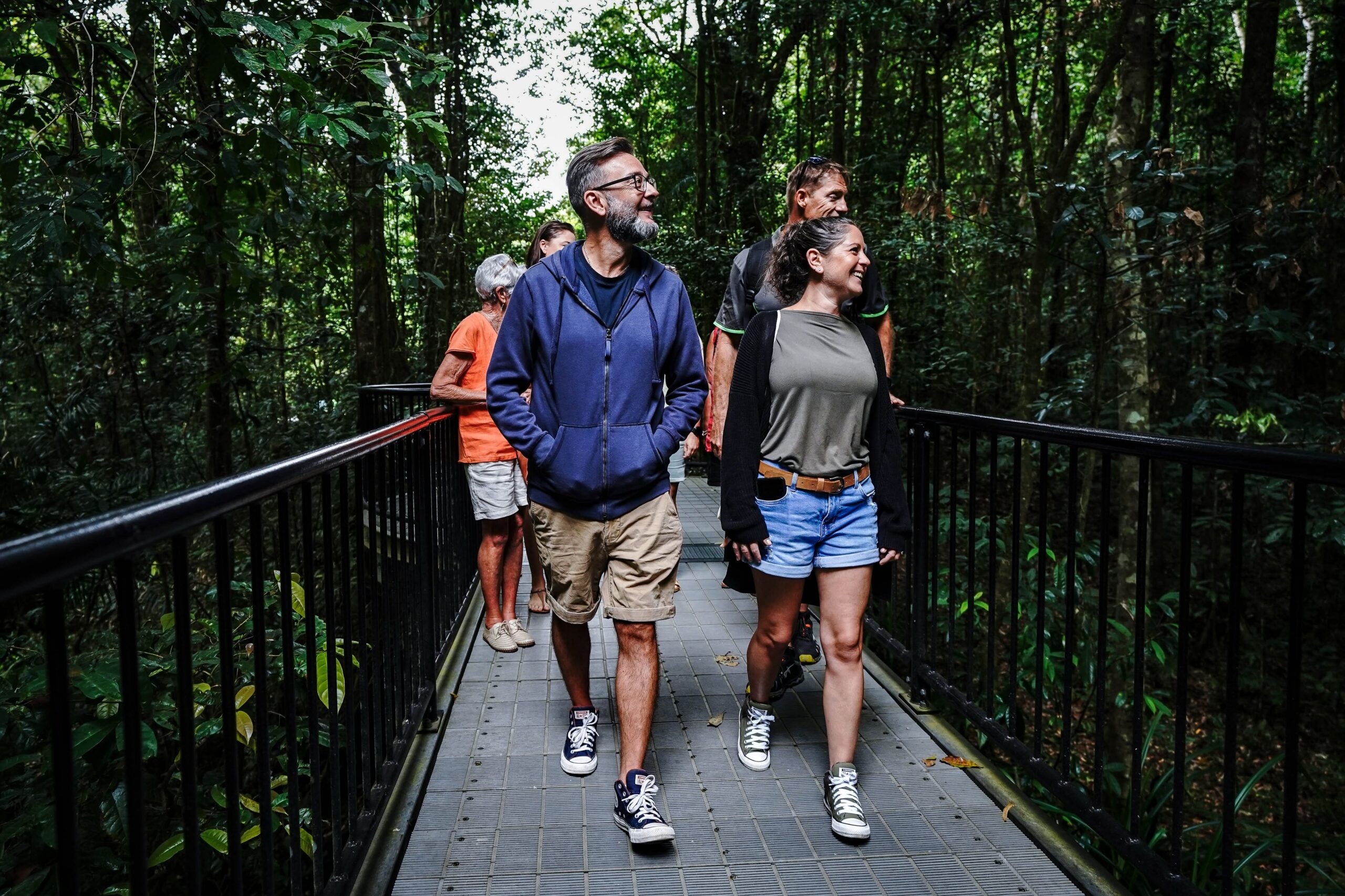 Rainforest boardwalk