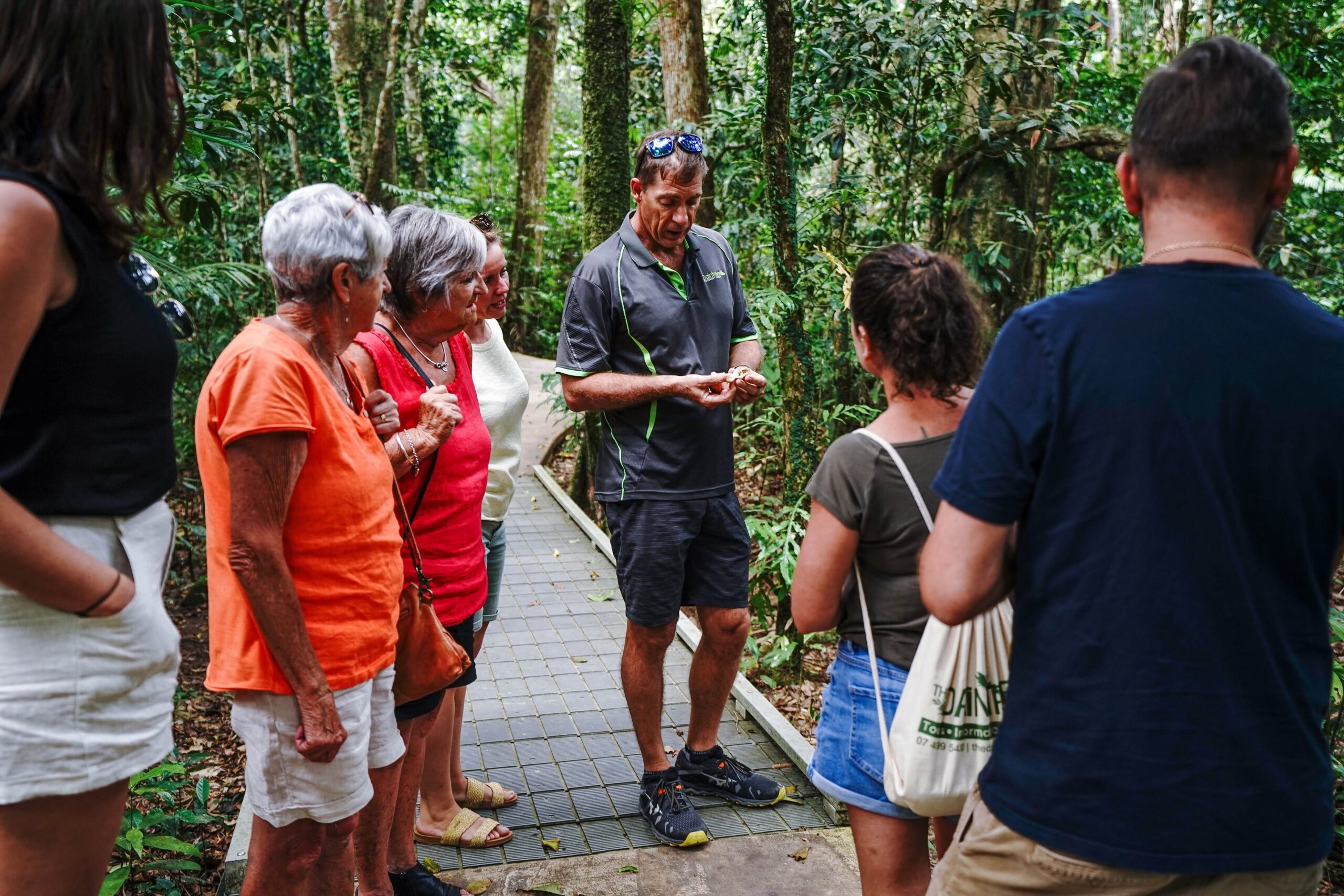 Daintree Discovery Tours Grant – Tropic Wings