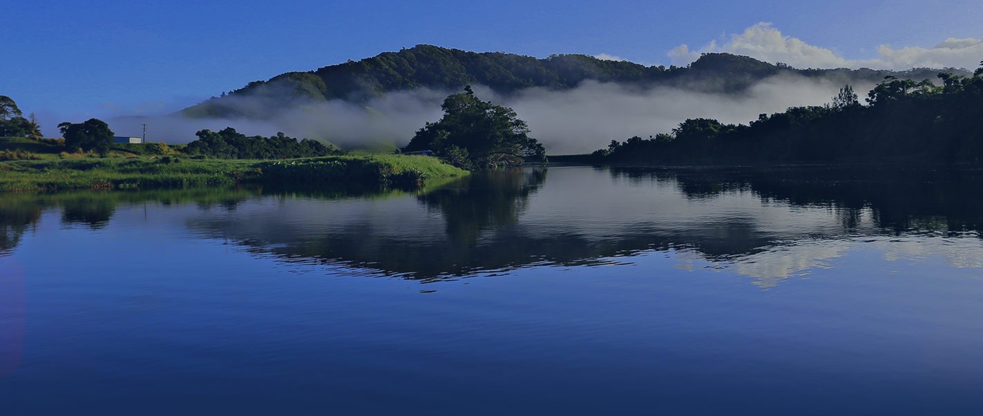 Daintree Riverview Lodges and Van Park River.
