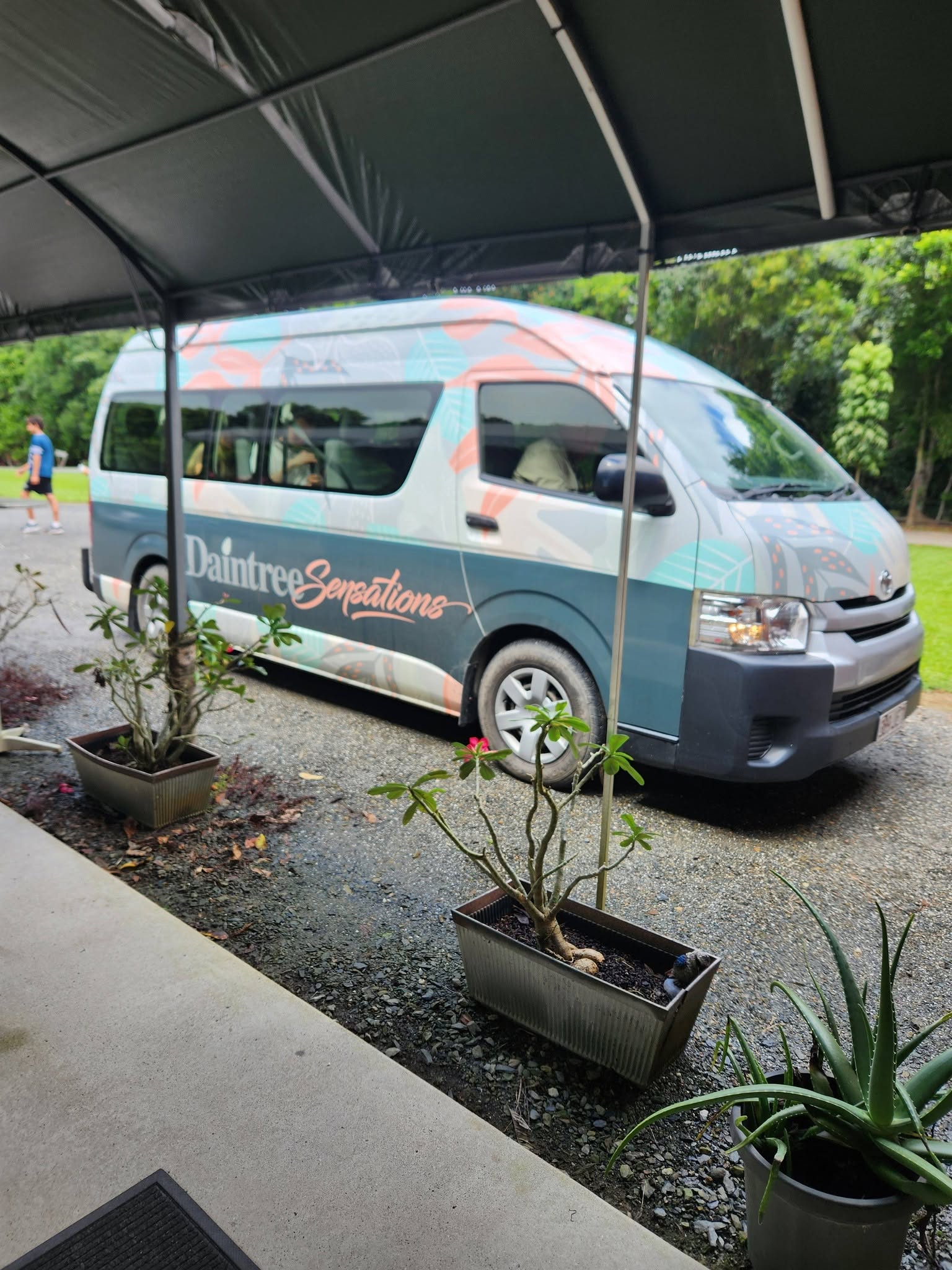 Daintree Sensations Bus
