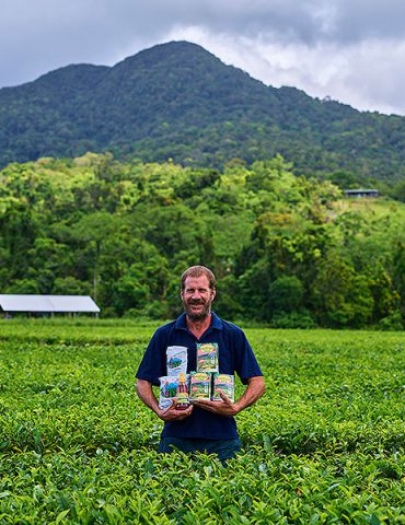 Daintree Tea Greg