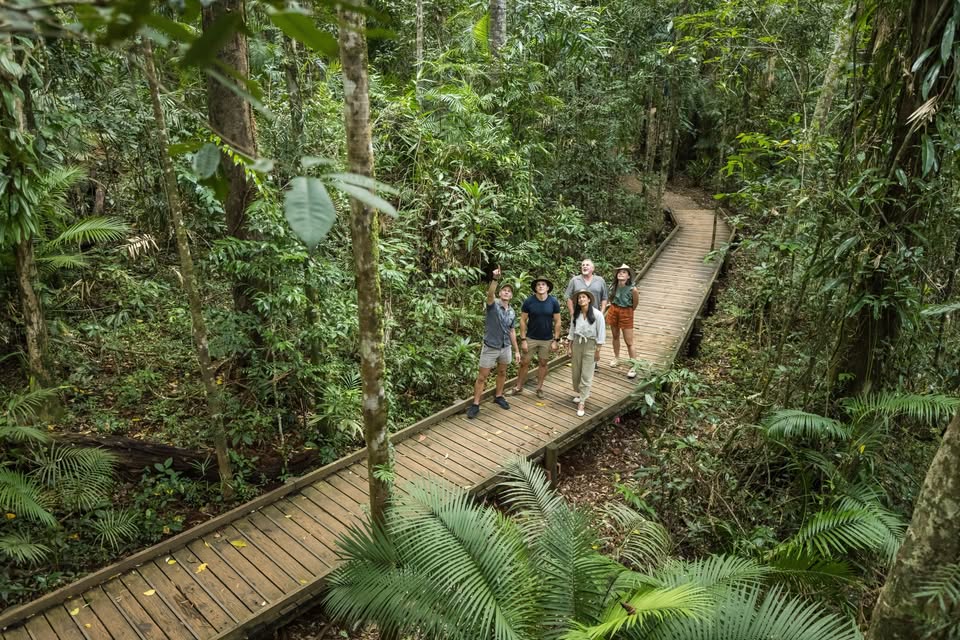 FNQ Nature Tours
