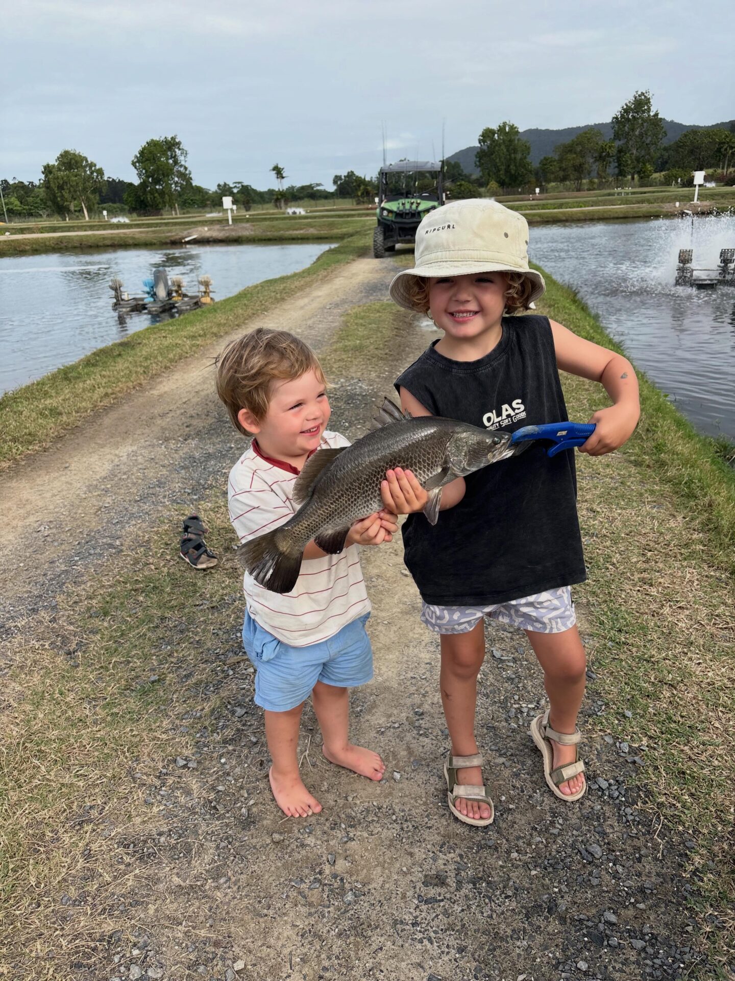 Hookabarra Family – Hook-a-Barra