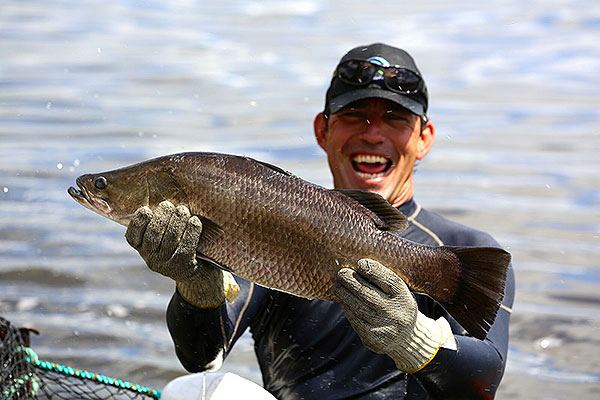 Hookabarra harvest – Hook-a-Barra