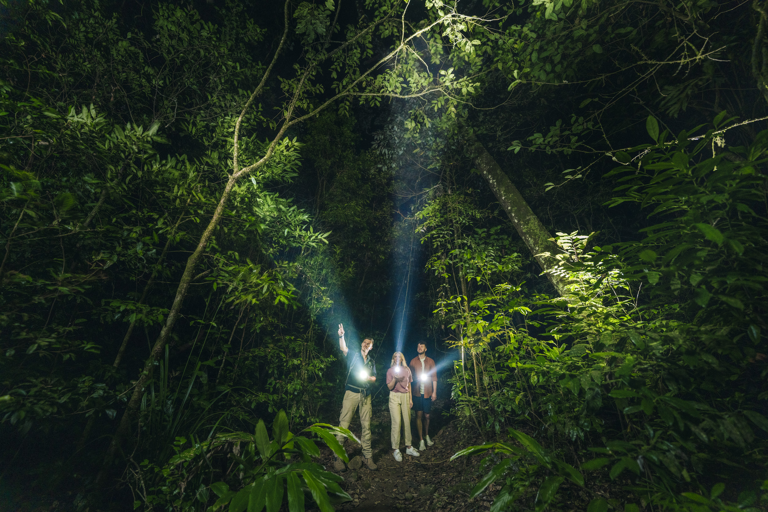 FNQ Nature Tours