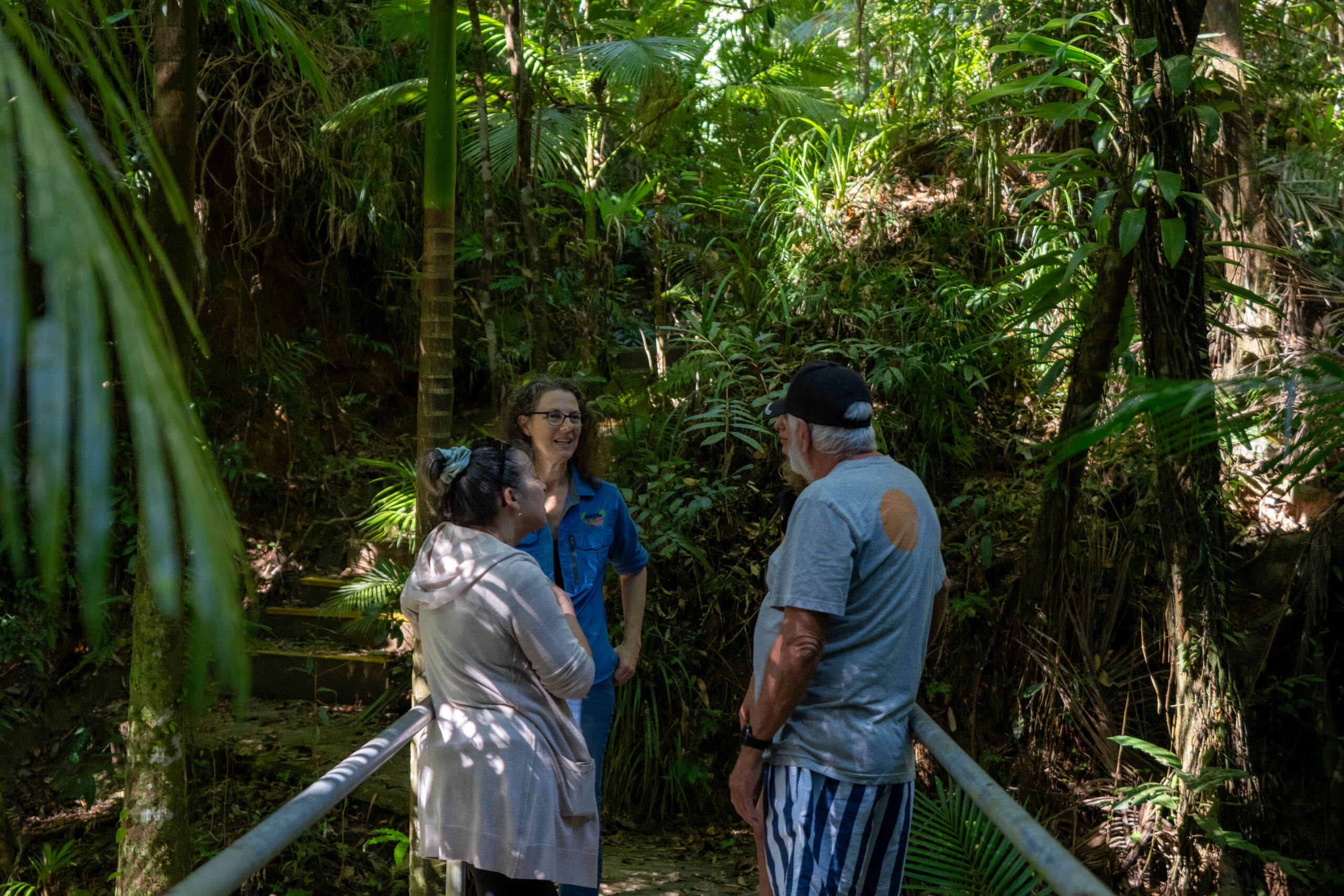 Rainforest Connections Walk Daintree Siesta by TJ Bridge