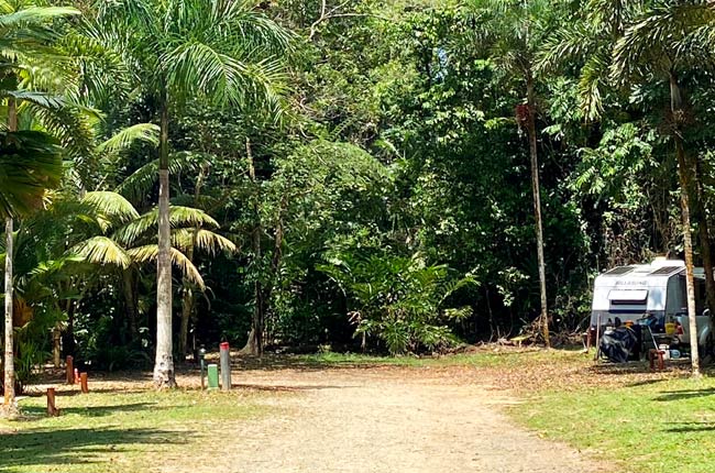 SIESTA Powered Campervan Sites Daintree Rainforest