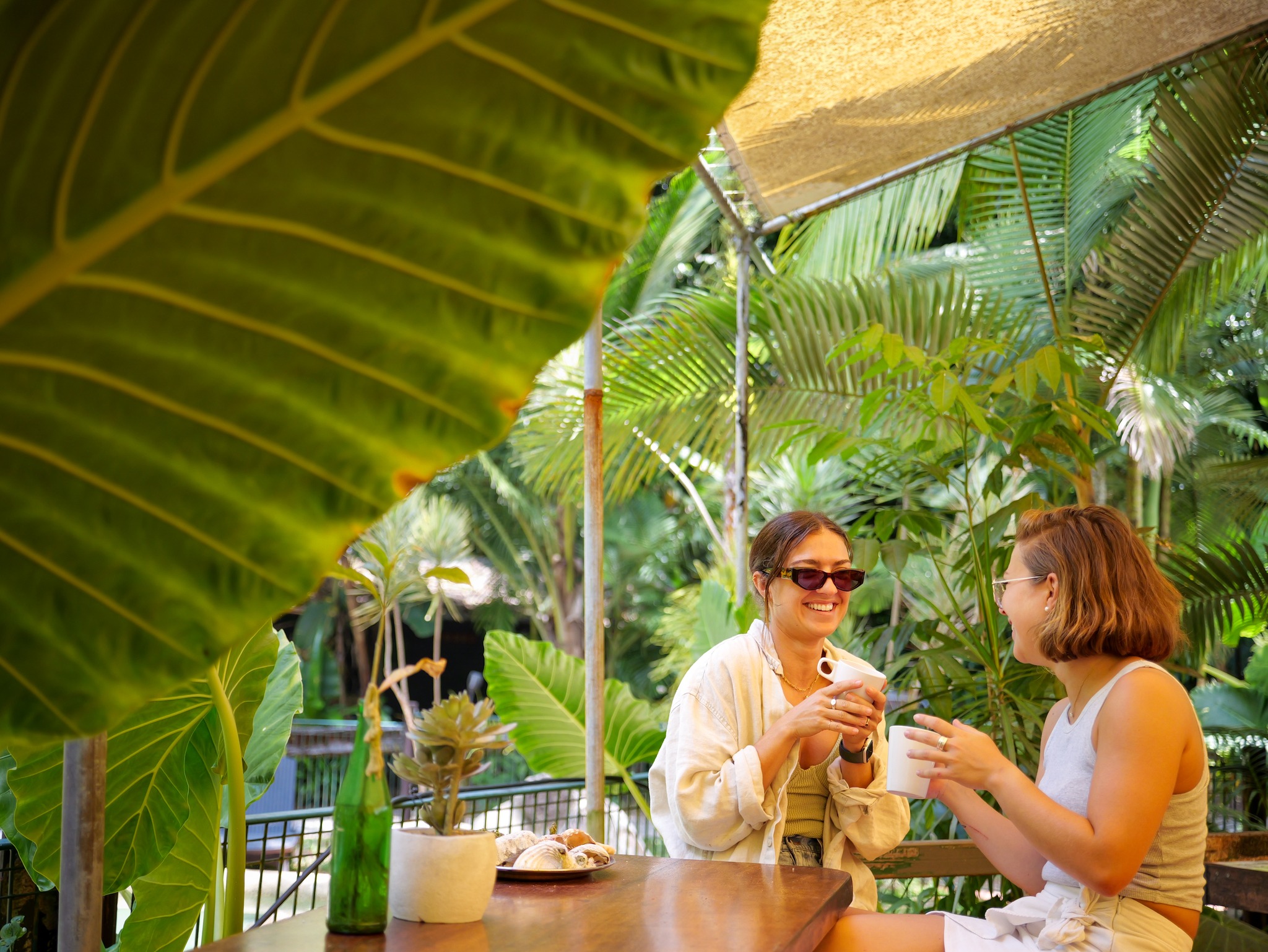 Safari Lodge – Daintree Village Parkview