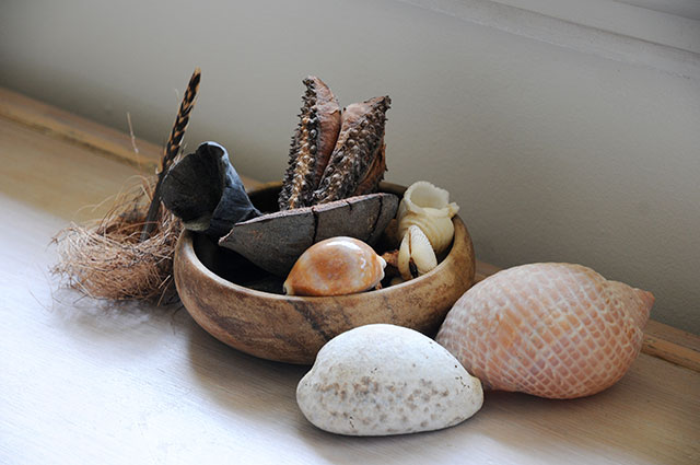 Seascapes Shells – Daintree Seascapes