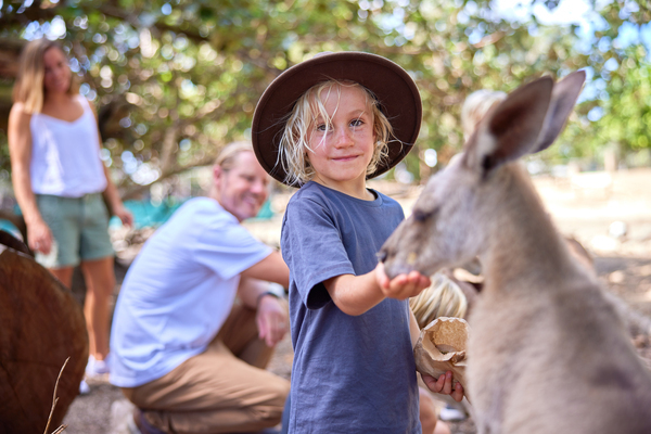 Wildlife Habitat Child Kangaroo Feed