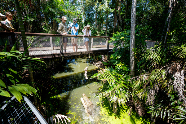 Wildlife Habitat Croc Feed Experience
