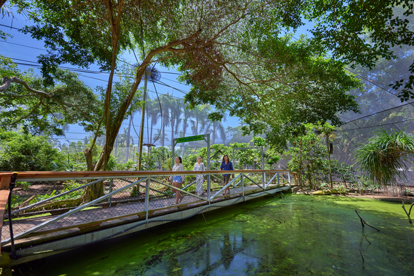 Wildlife Habitat Scenic Rainforest