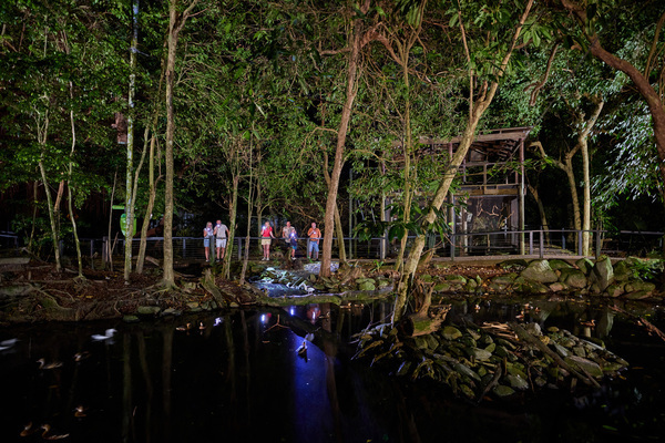 Wildlife Habitat Wildnight Nocturnal