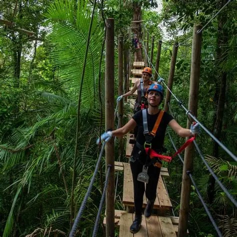 Treetops walking platform