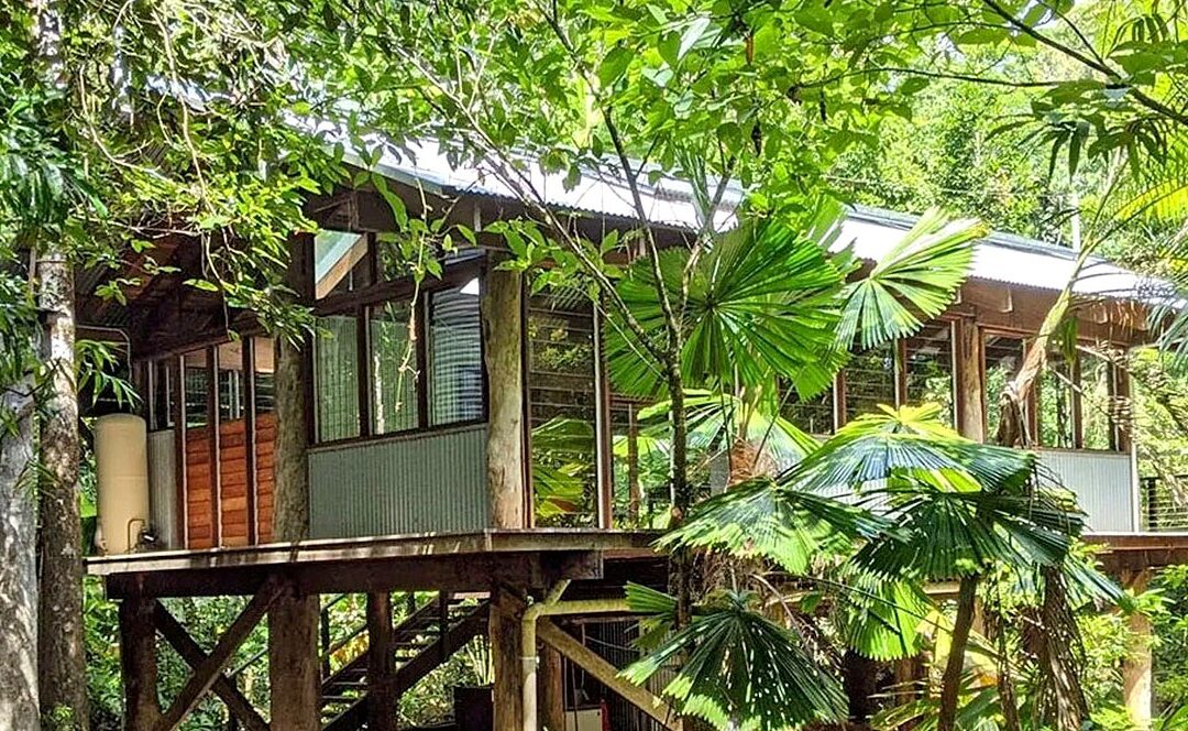 Firefly Nature Escape