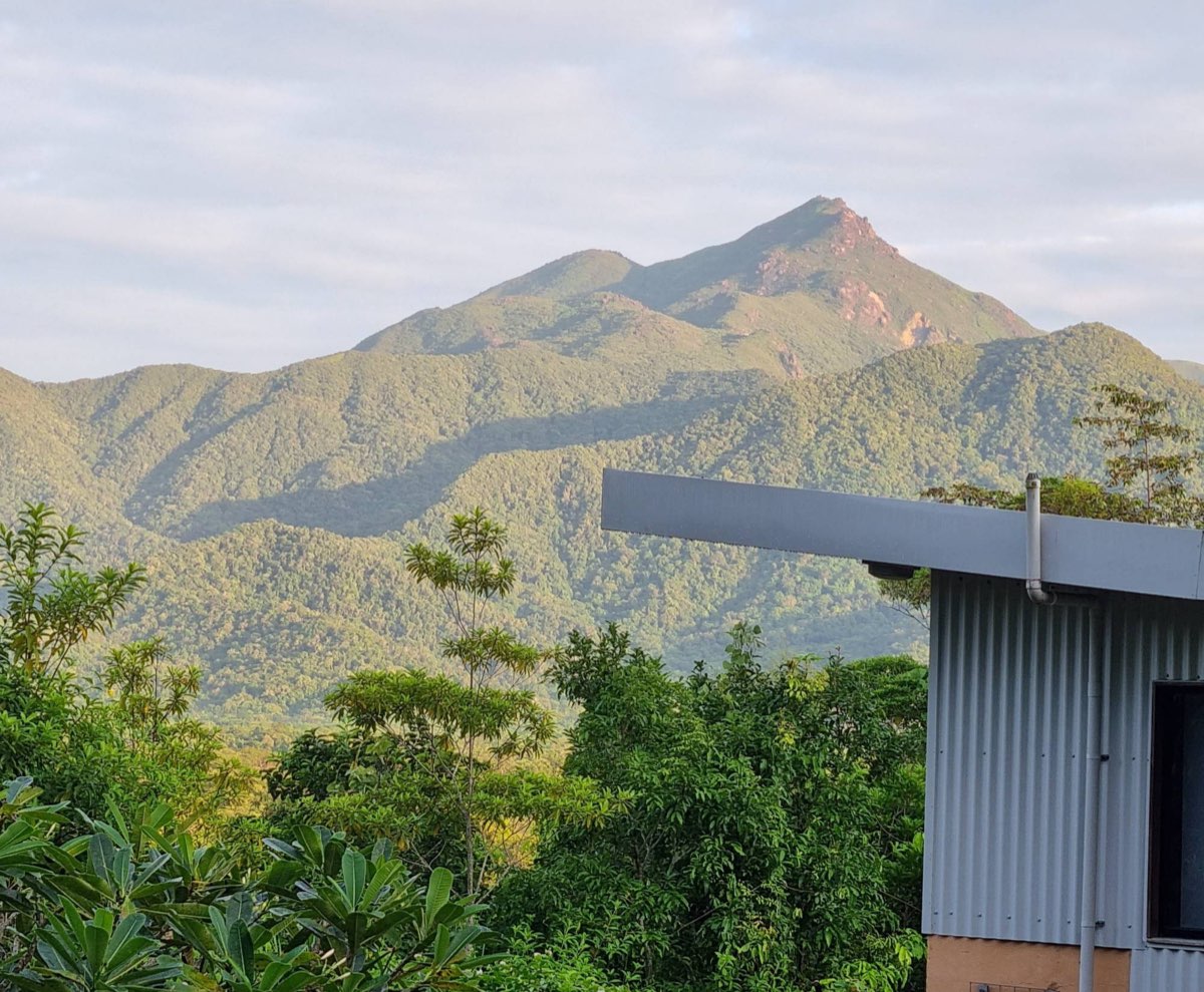 Rainforest-covered mountains seen from Wompoo Eco Retreat